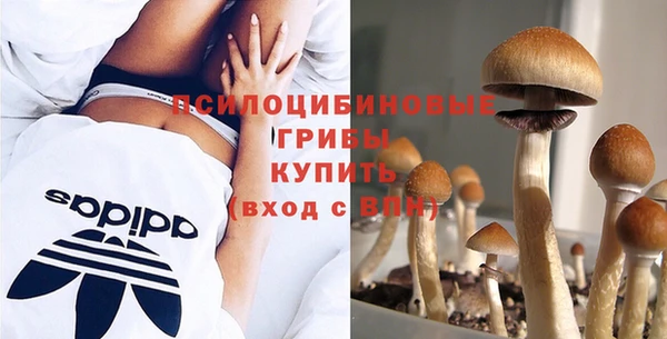 дмт Мегион