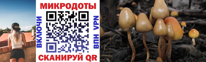 Галлюциногенные грибы Cubensis  Спасск 